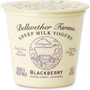 Bellwether Farms Blackberry Sheep Milk Yogurt