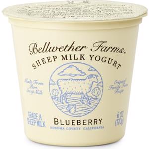 Bellwether Farms Blueberry Sheep Milk Yogurt