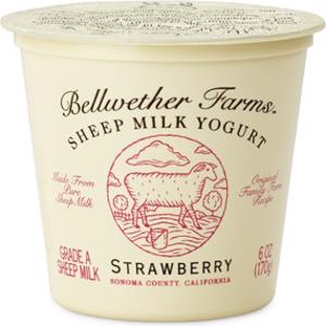 Bellwether Farms Strawberry Sheep Milk Yogurt