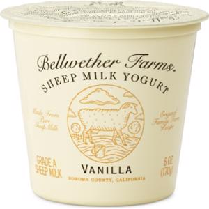 Bellwether Farms Vanilla Sheep Milk Yogurt