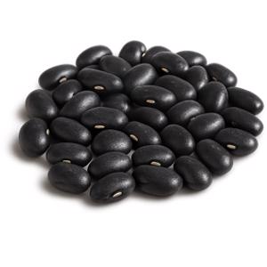 Black Bean