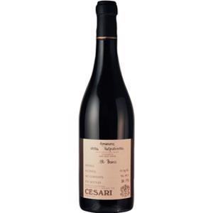 Cesari Il Bosco Amarone della Valpolicella Classico