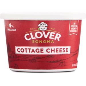 Clover Sonoma Cottage Cheese