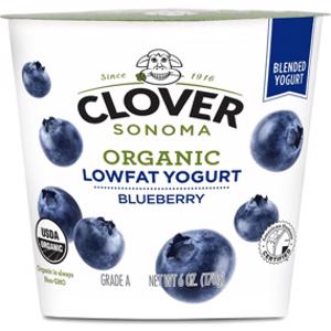 Clover Sonoma Organic Lowfat Blueberry Yogurt