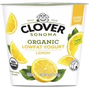 Clover Sonoma Organic Lowfat Lemon Yogurt