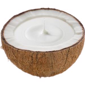 Coconut Cream