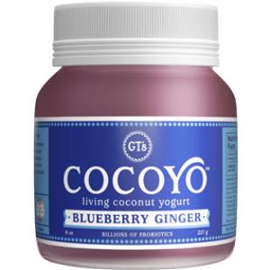 CocoYo Blueberry Ginger Living Coconut Yogurt
