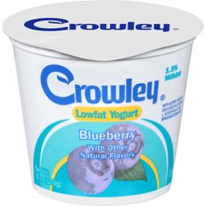 Crowley Low Fat Blueberry Yogurt