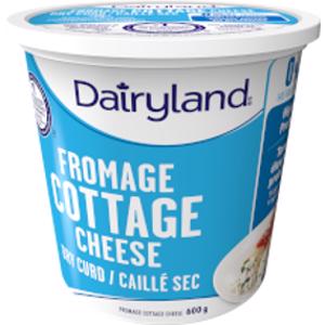Is Dairyland Dry Curd Low Fat Cottage Cheese Keto Sure Keto The Food Database For Keto