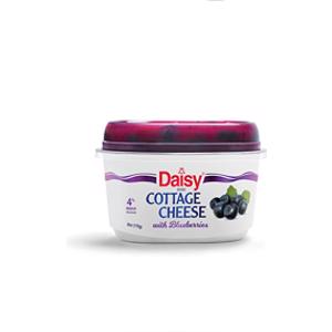 Daisy Cottage Cheese w/ Blueberries