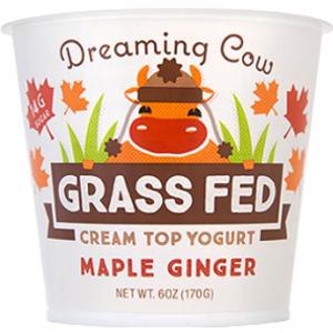 Dreaming Cow Maple Ginger Grass Fed Yogurt