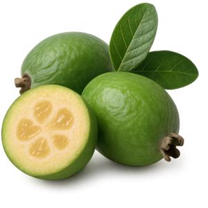 Feijoa