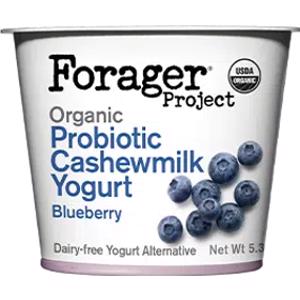 Forager Project Blueberry Cashewmilk Yogurt