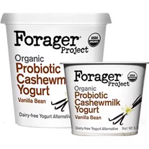 Forager Project Vanilla Bean Cashewmilk Yogurt