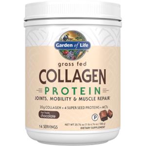 Garden of Life Grass Fed Collagen Protein Chocolate