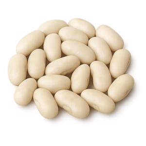 Great Northern Bean