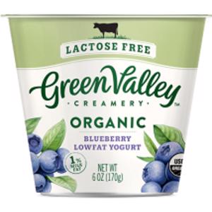 Green Valley Creamery Organic Blueberry Yogurt