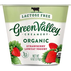 Green Valley Creamery Organic Strawberry Lowfat Yogurt