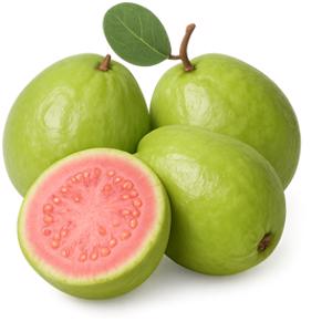 Guava
