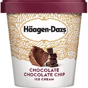 Haagen-Dazs Chocolate Chocolate Chip Ice Cream