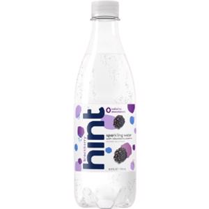 Hint Blackberry Sparkling Water