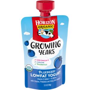 Horizon Organic Blueberry Lowfat Yogurt