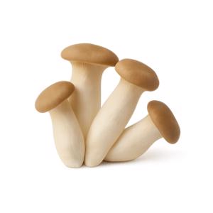 King Oyster Mushroom