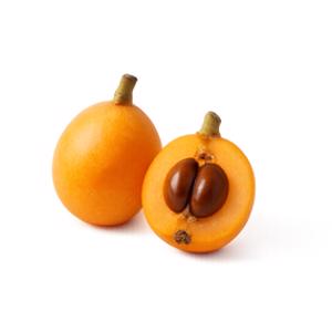 Loquat