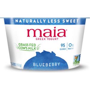 Maia Blueberry Greek Yogurt