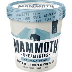 Mammoth Creameries Vanilla Bean Keto Frozen Custard