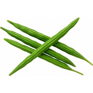 Moringa Pods