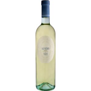 Natale Verga Sauvignon Blanc Veneto