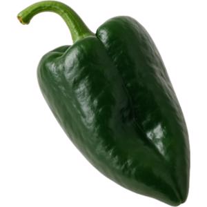 Poblano Pepper