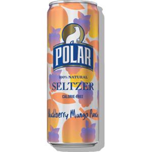 Polar Blackberry Mango Punch Seltzer