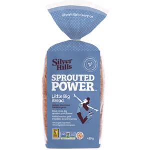 Silver Hills Sprouted Power Little Big Bread