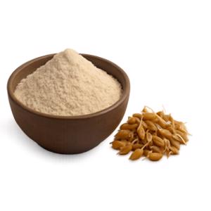 Sprouted Flour