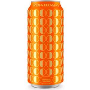 Stillwater Artisanal Action Bronson 7000 Sour Ale