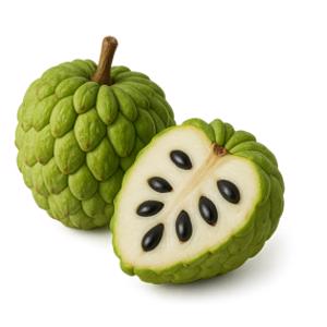 Sugar Apple