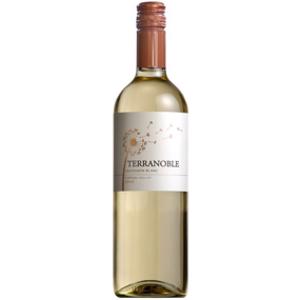 Terranoble Sauvignon Blanc