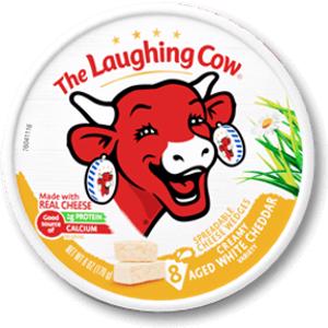 The Laughing Cow Creamy Aged White Cheddar Spreadable Cheese