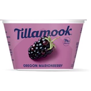 Tillamook Oregon Marionberry Yogurt