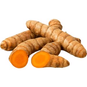 Turmeric Root