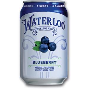 Waterloo Blueberry Sparkling Water