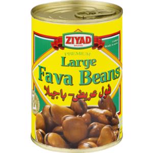 Ziyad Large Fava Beans